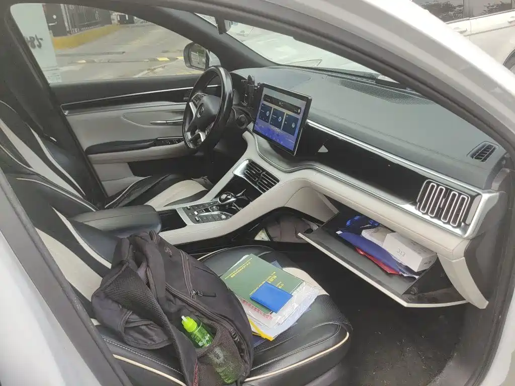 BYD PLUS New Energy — миниатюра 19