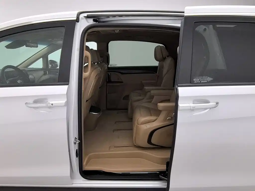 Buick GL8 — миниатюра 15