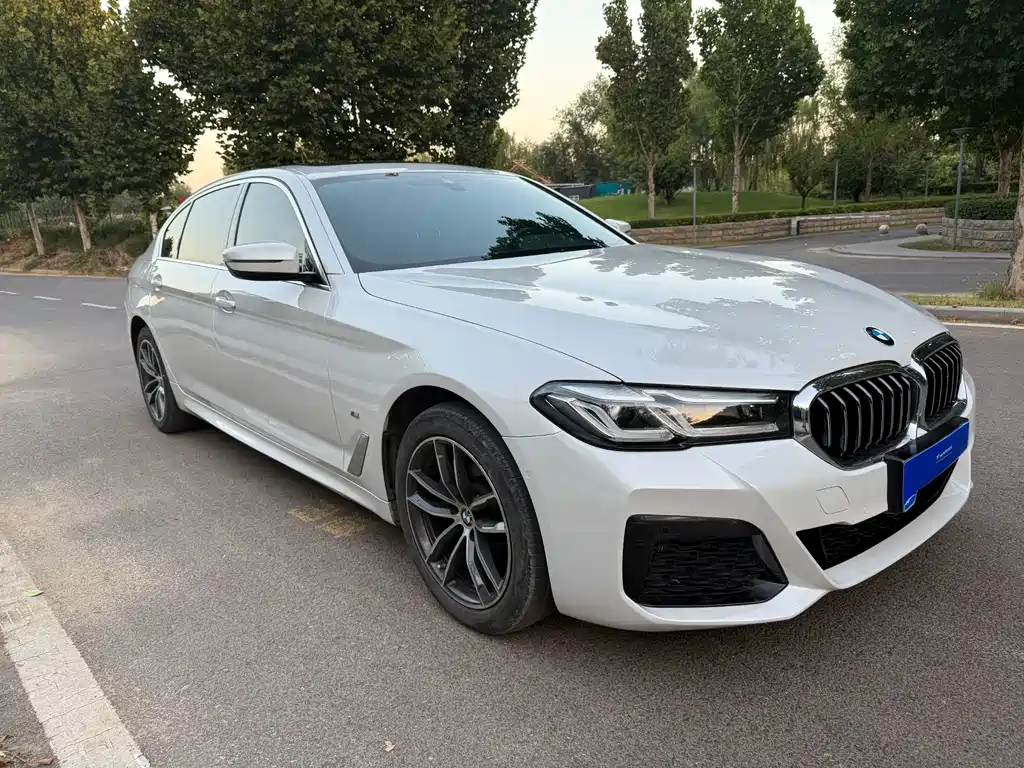 BMW 5 Series — миниатюра 2