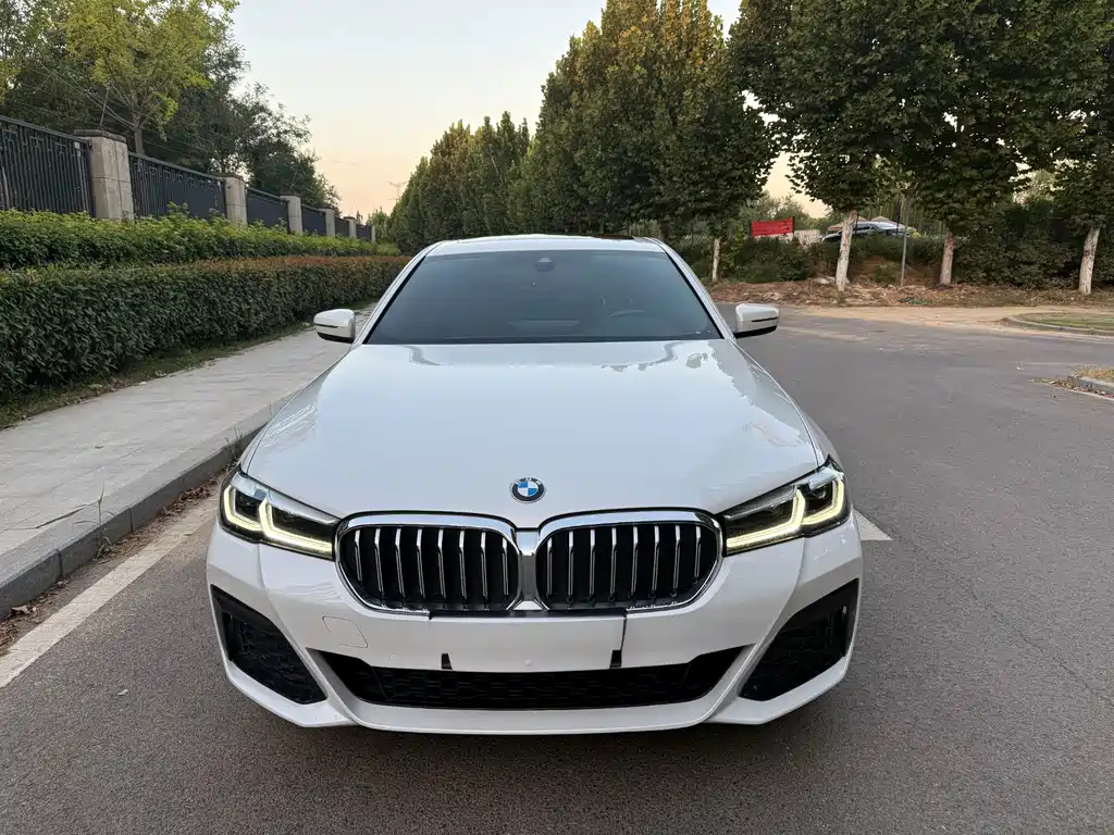 BMW 5 Series — миниатюра 4