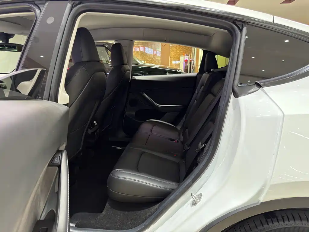 Tesla Model Y — миниатюра 6