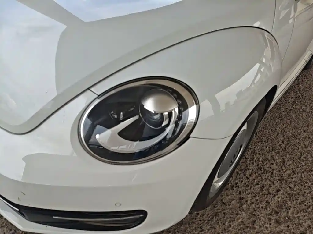 Volkswagen Beetle — миниатюра 24