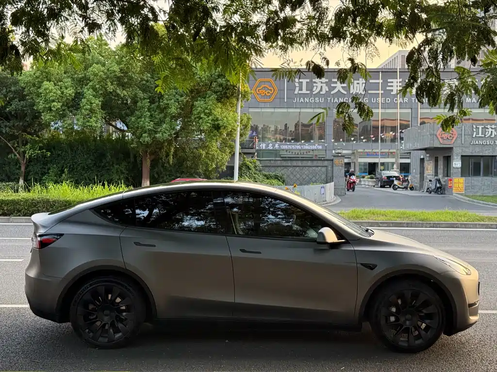 Tesla Model Y — миниатюра 6