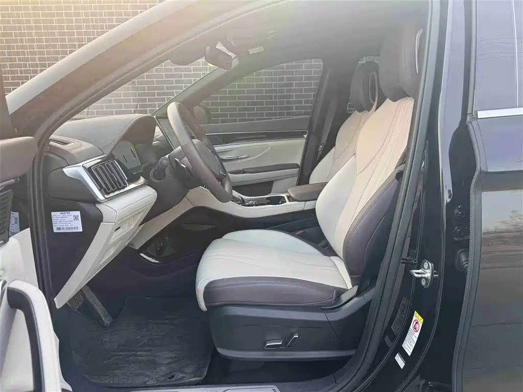 BYD SONGJIANG NEW ENERGY