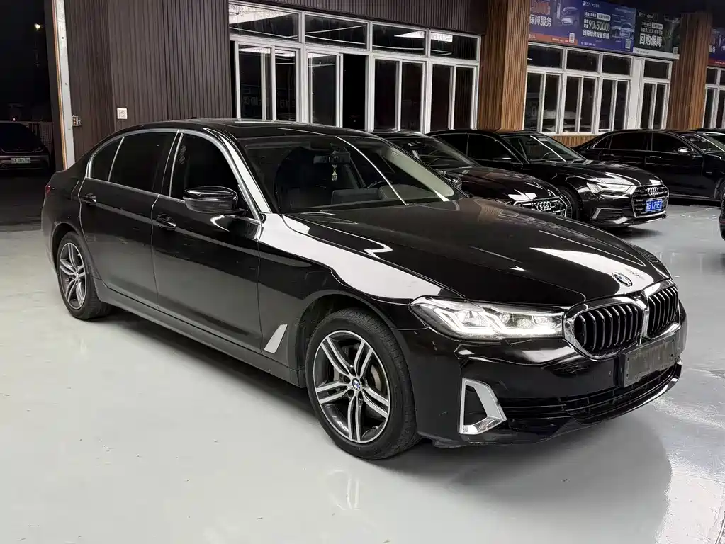 BMW 5 Series — миниатюра 2