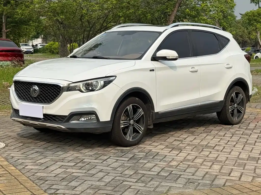 Mg ZS 2017
