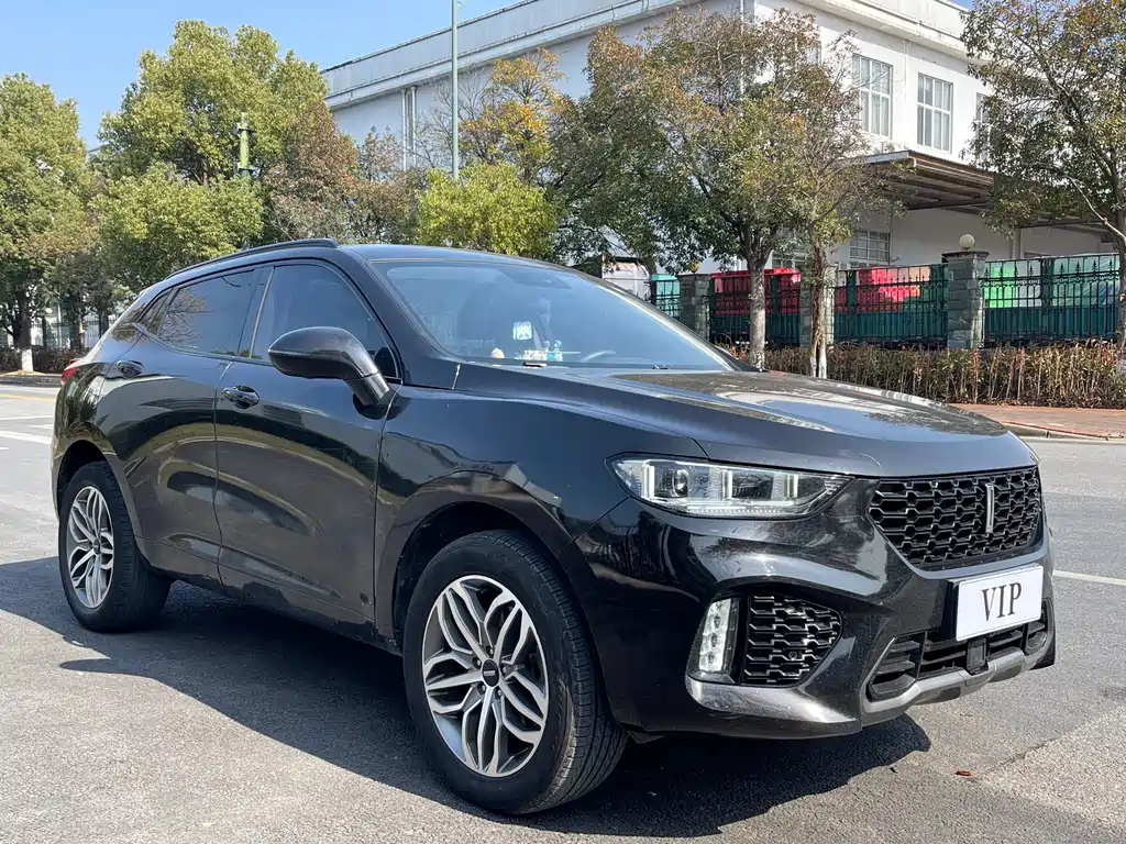 WEI PAI WEI BRAND VV5