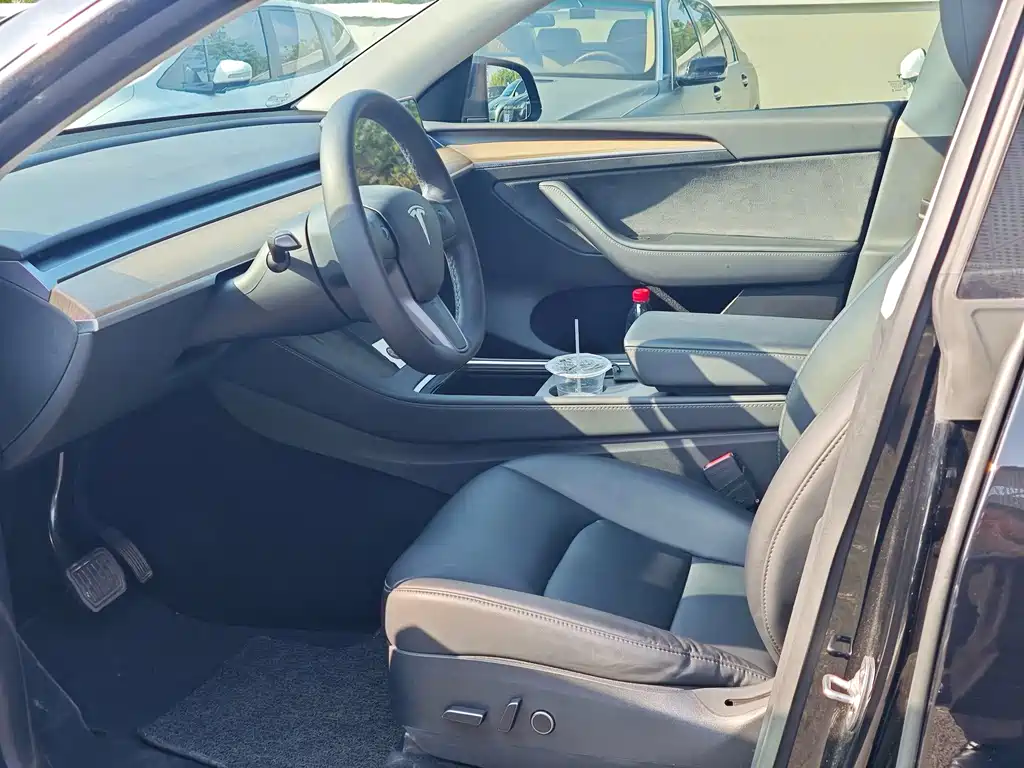 Tesla Model Y — миниатюра 3