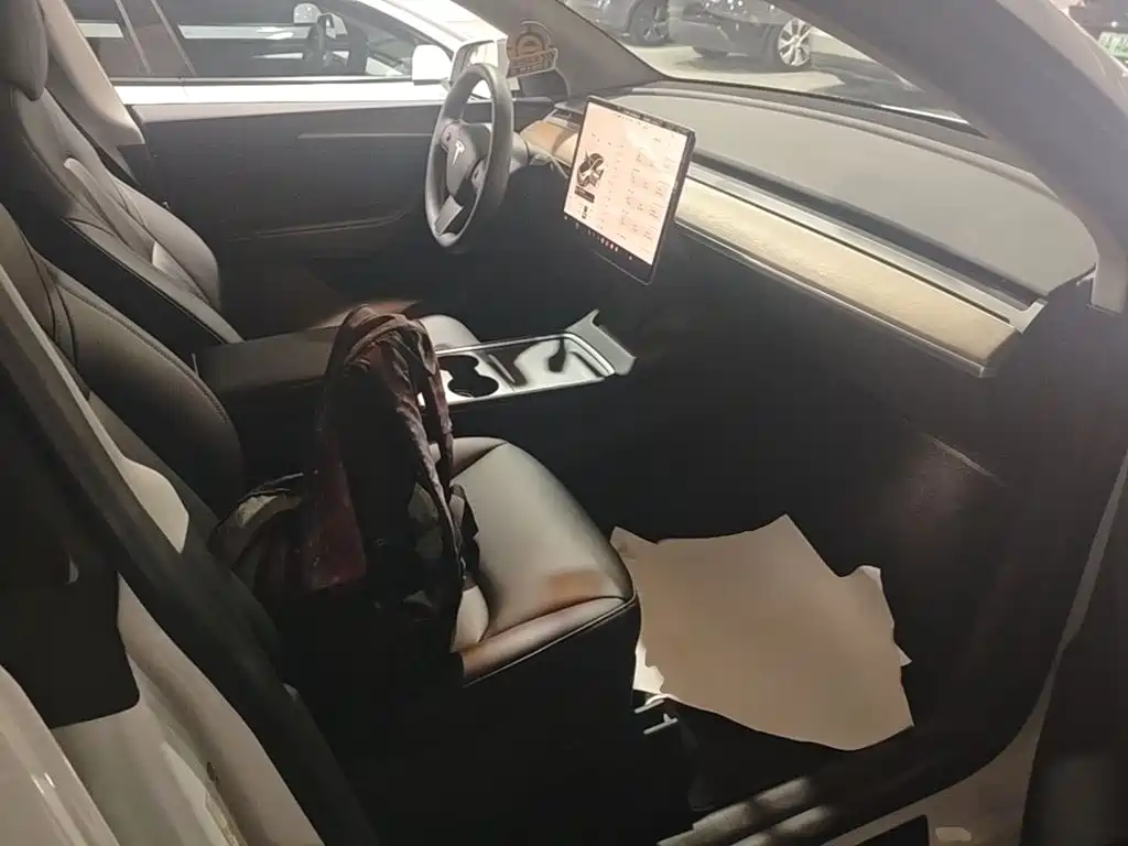 Tesla Model Y — миниатюра 25