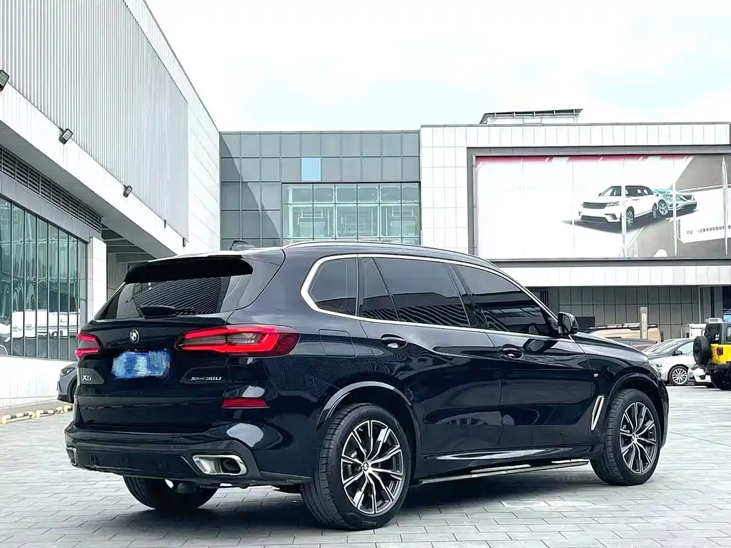 BMW X5 — миниатюра 9