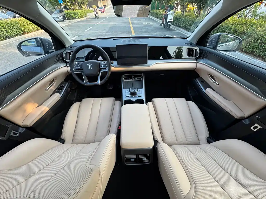BYD Pro New Energy — миниатюра 6