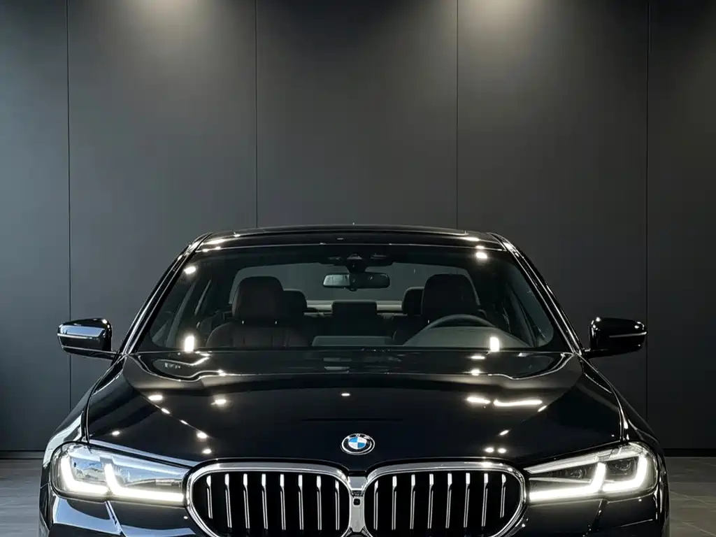 BMW 5 Series — миниатюра 2