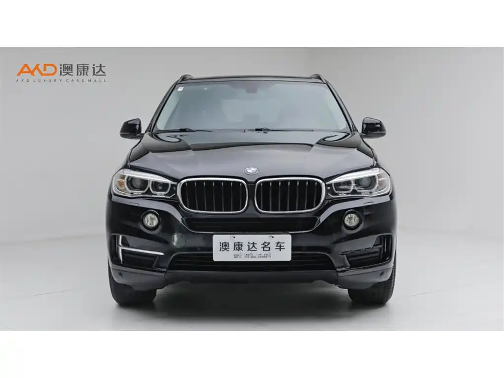 BMW X5 (Import) — миниатюра 2
