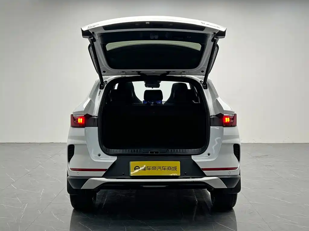 BYD PLUS New Energy — миниатюра 9