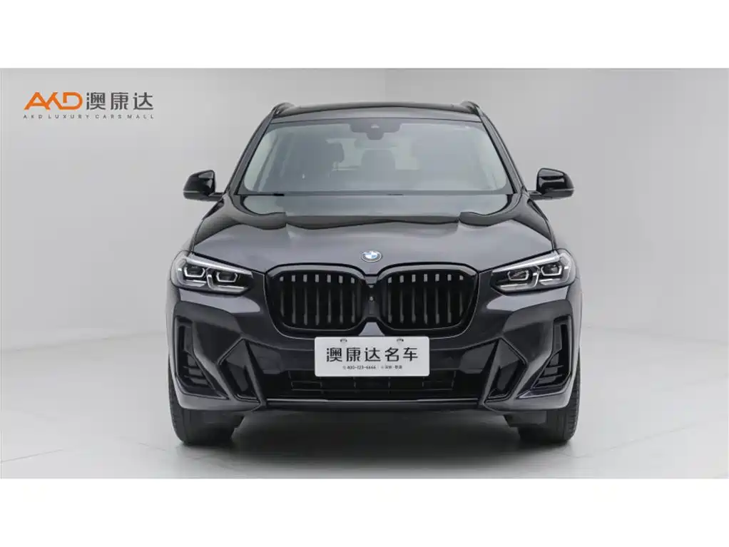 BMW X3 — миниатюра 2