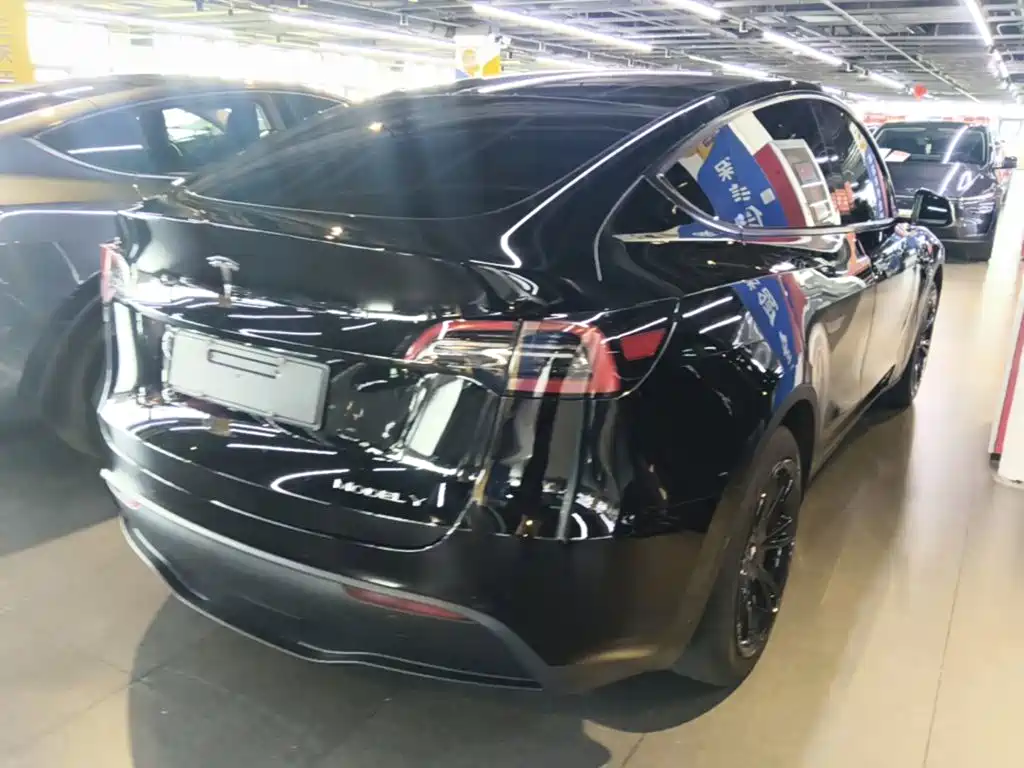 Tesla Model Y — миниатюра 7