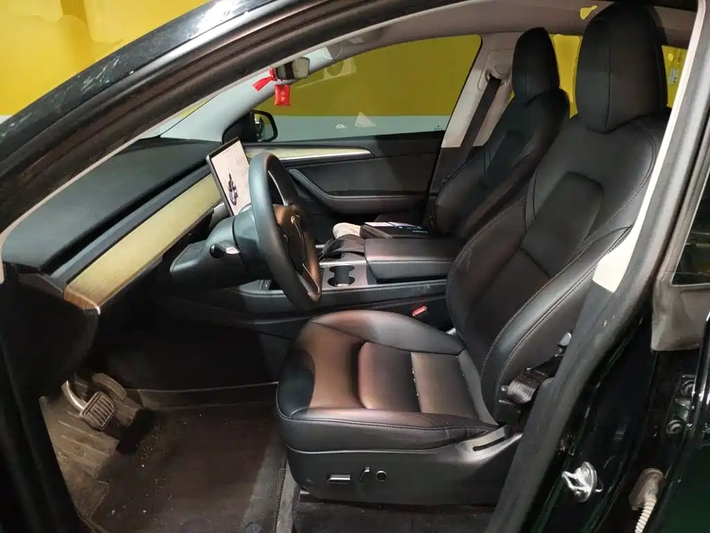 Tesla Model Y — миниатюра 11