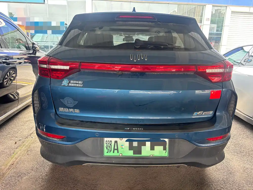 WM Motor EX5 — миниатюра 15