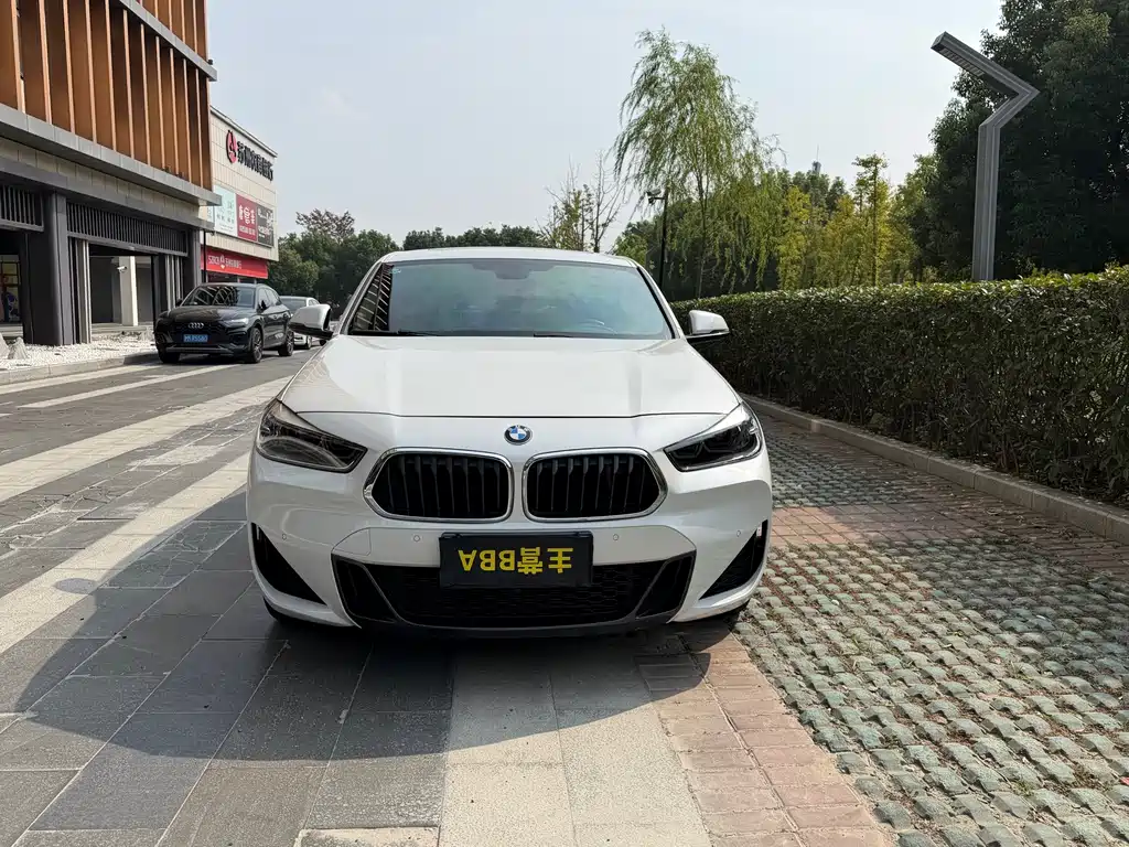 BMW X2 — миниатюра 2