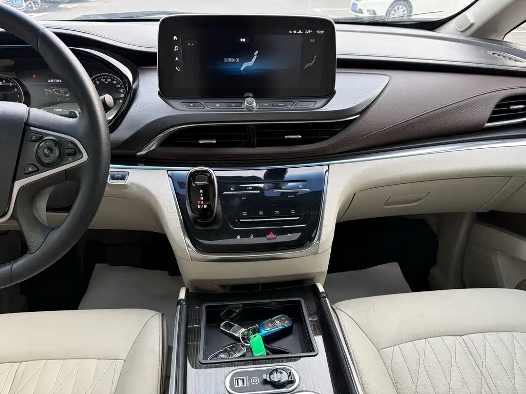 Buick GL8 — миниатюра 10