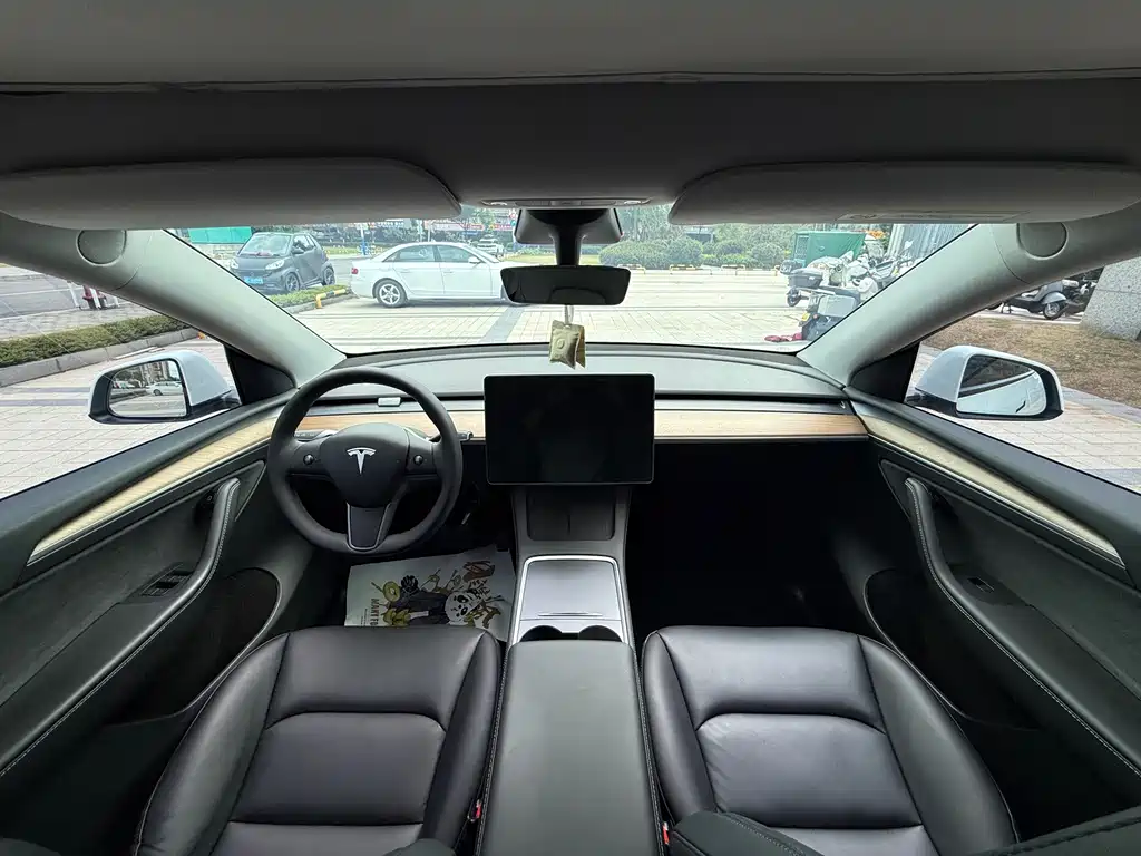 Tesla Model Y — миниатюра 6