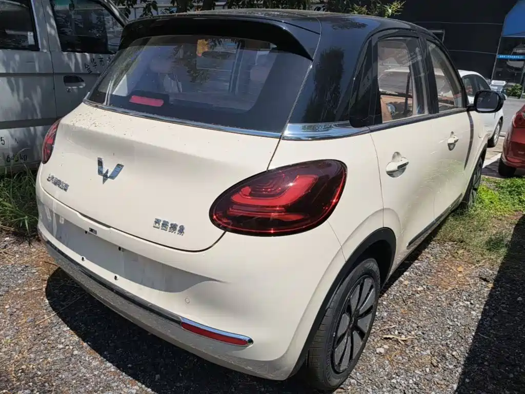 Wuling Binguo 2025 333km