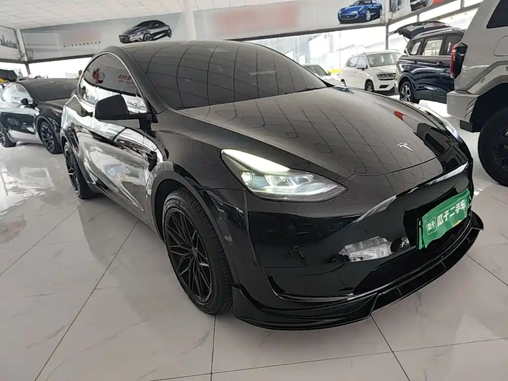 Tesla Model Y — миниатюра 4