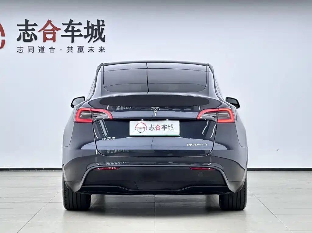 Tesla Model Y — миниатюра 3