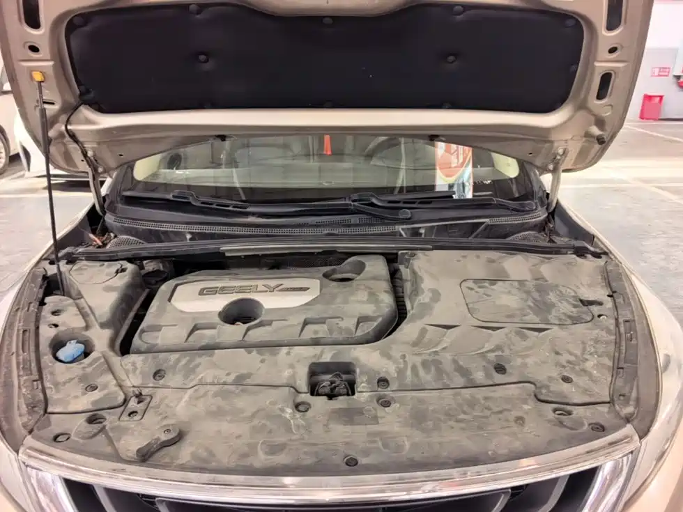 Geely Emgrand GS — миниатюра 20