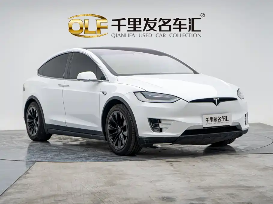 Tesla Model X — миниатюра 3