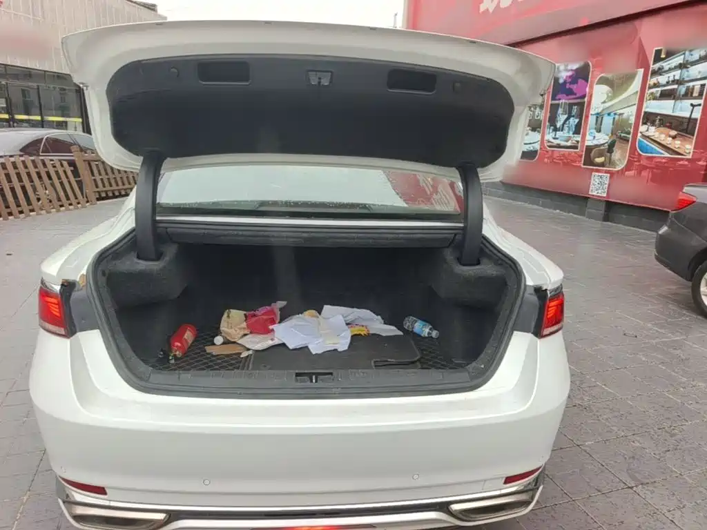 Geely Borui — миниатюра 19