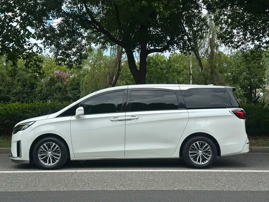 Buick GL8 ES LandKing 653T Comfort Type, фото 4