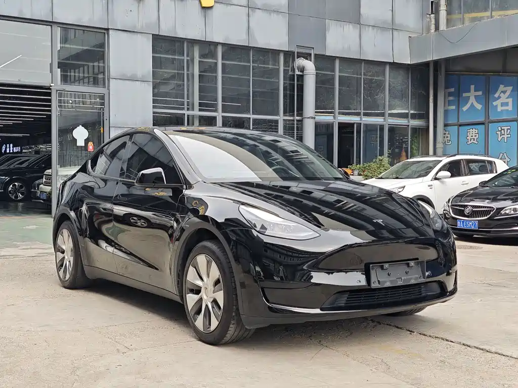 Tesla Model Y — миниатюра 3
