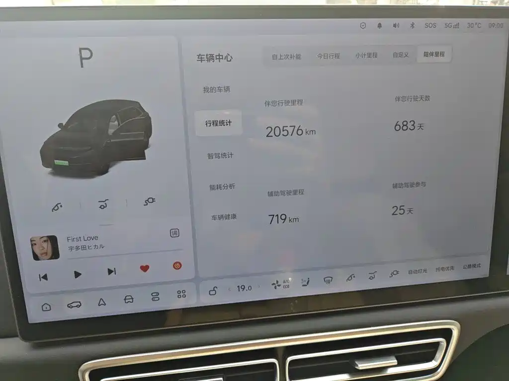 Li Auto Li L7 — миниатюра 7