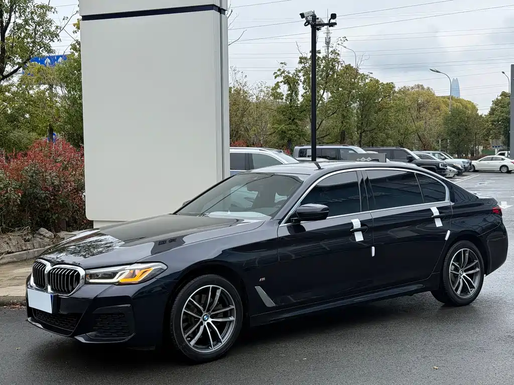 BMW 5 Series 2020