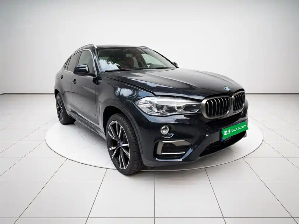 BMW X6 — миниатюра 3