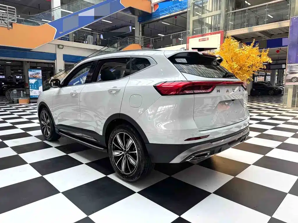 Haval H6 — миниатюра 11