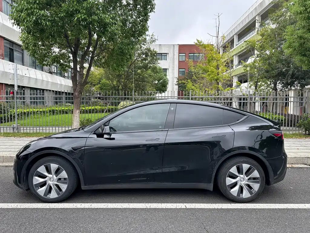 Tesla Model Y — миниатюра 5