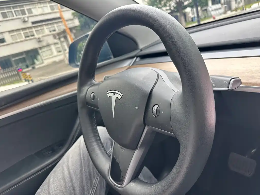 Tesla Model Y — миниатюра 12