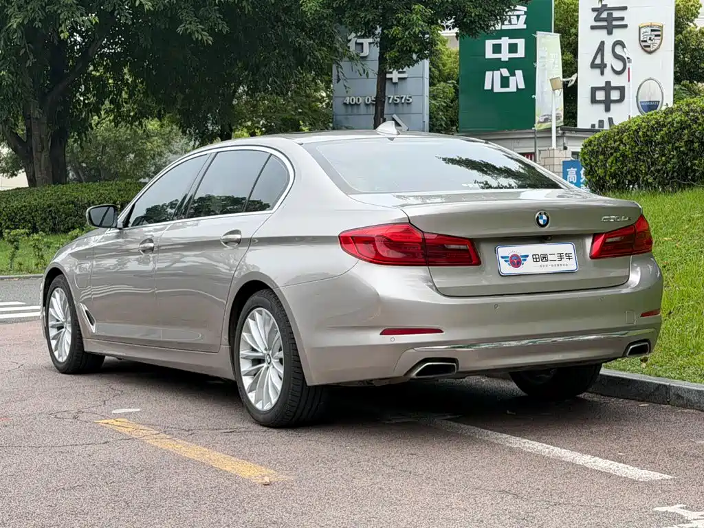BMW 5 Series New Energy 530Le Luxury Package, фото 4