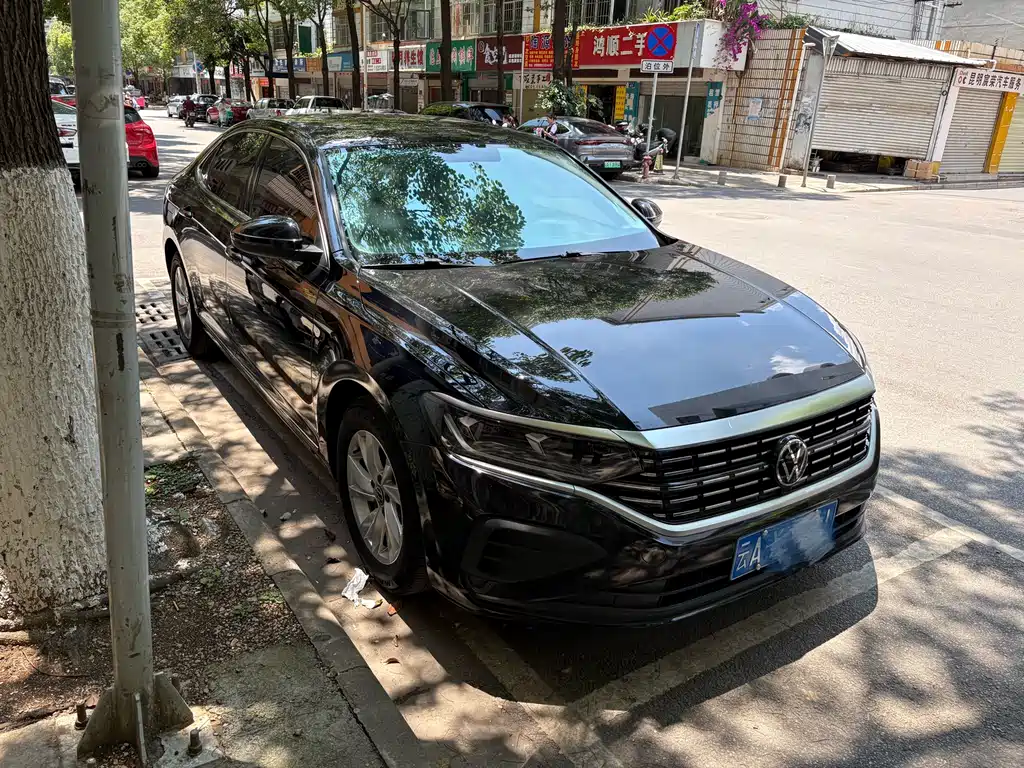 Volkswagen Passat - фото 2