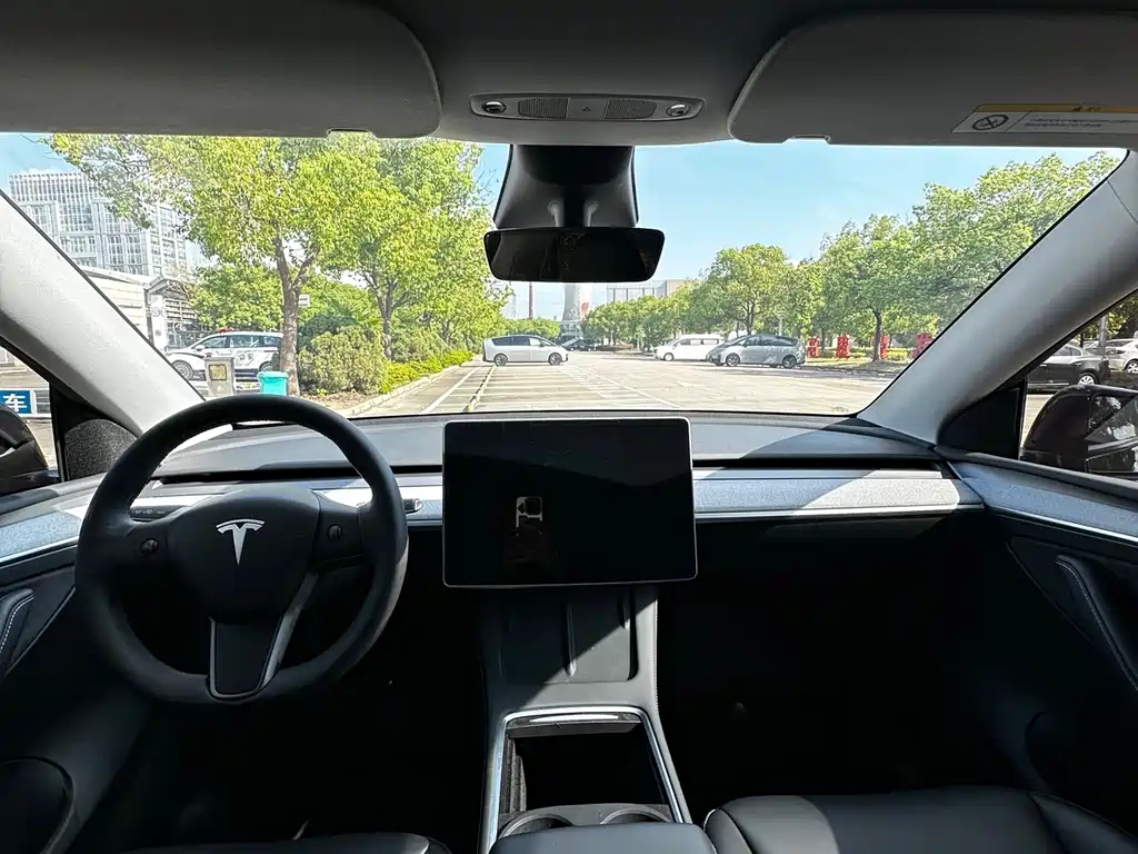 Tesla Model Y — миниатюра 11