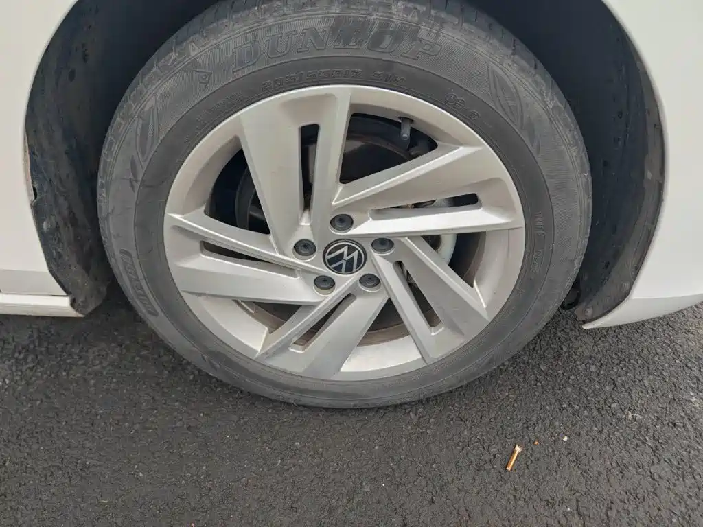 Volkswagen Lamando — миниатюра 8