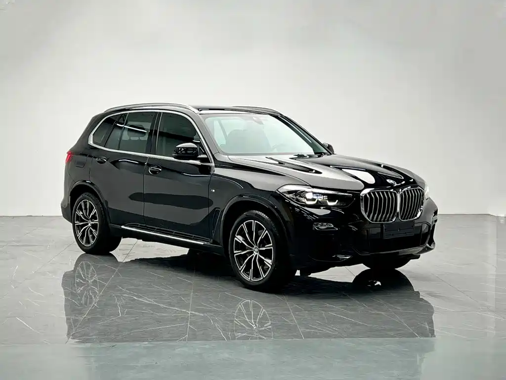 BMW X5 (Import) — миниатюра 8