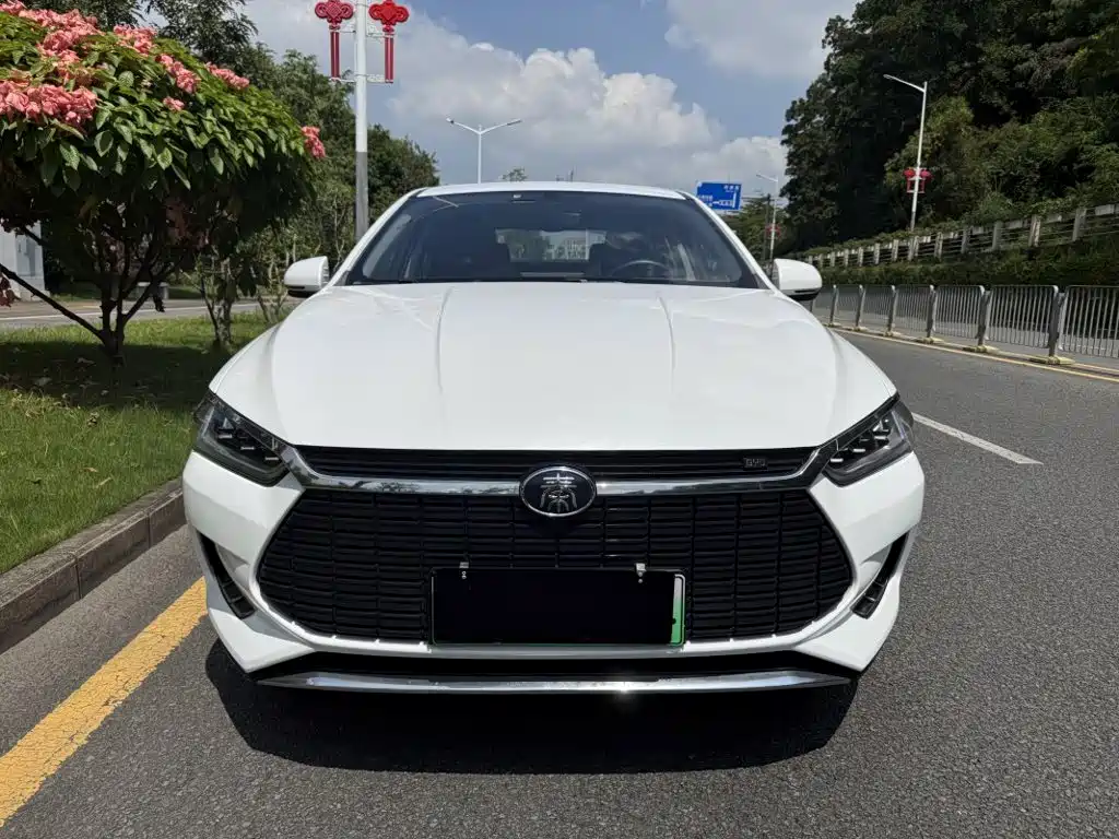 BYD Qin Pro NEV — миниатюра 2