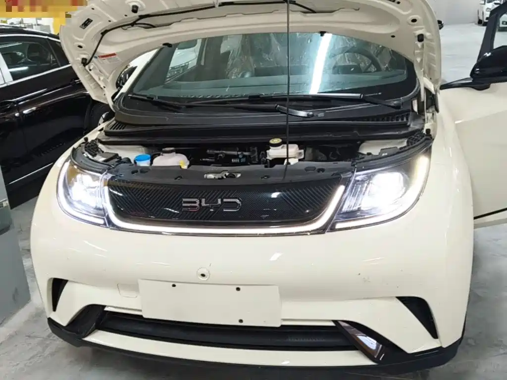 BYD Dolphin — миниатюра 20