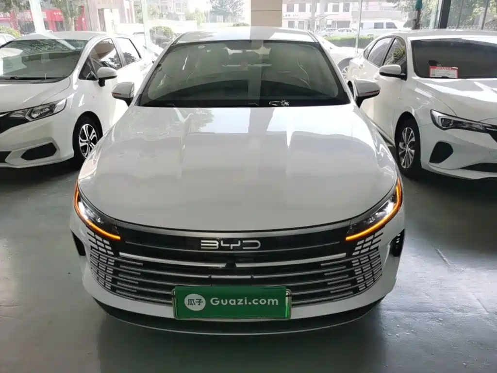BYD Destroyer 05 — фотографии объявления, Фото 4