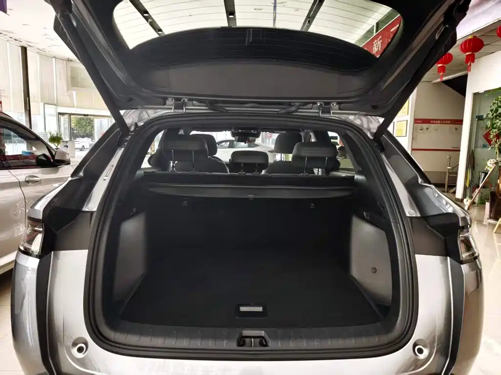 BYD L DM-i — миниатюра 19