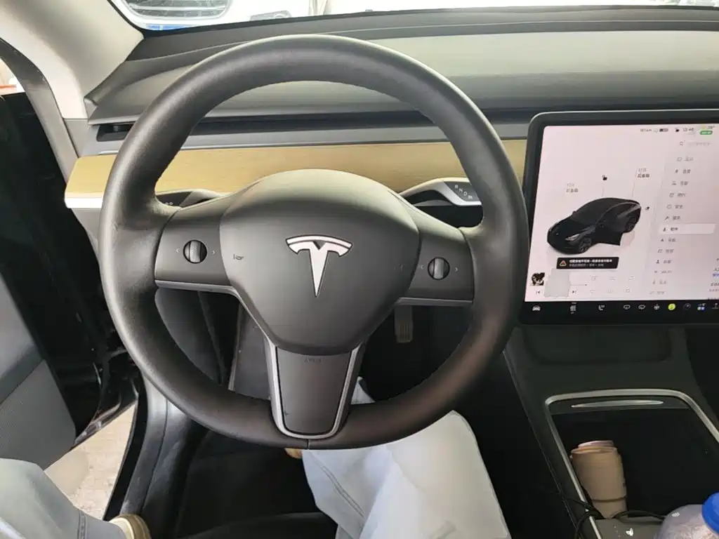 Tesla Model Y — миниатюра 11