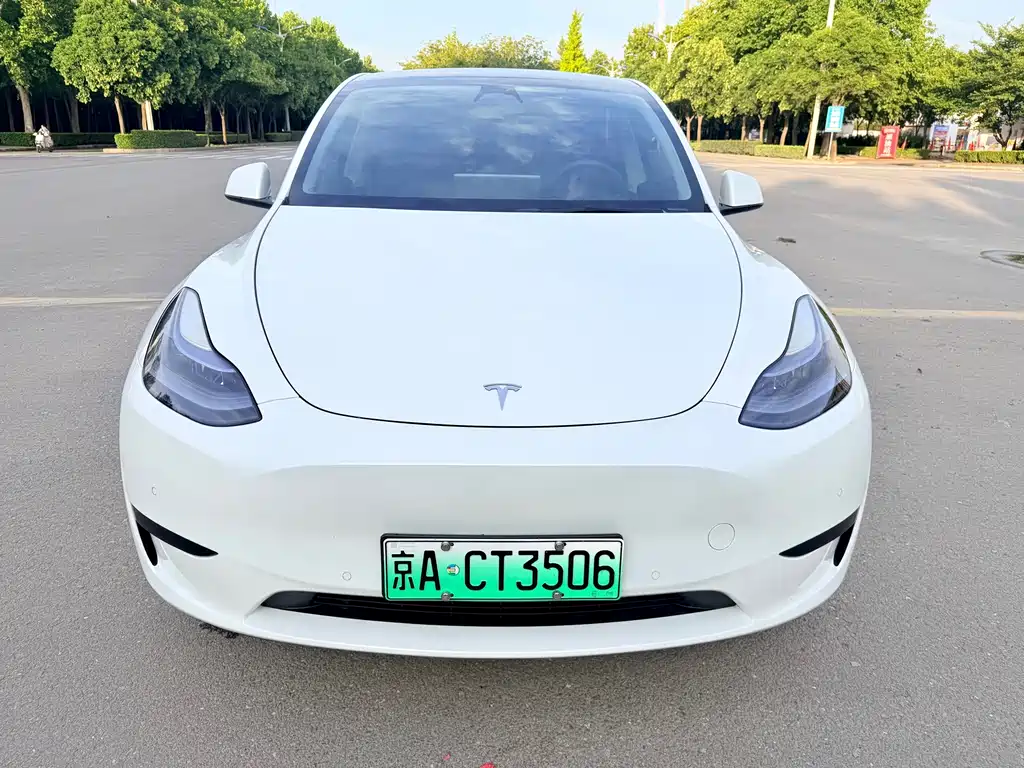 Tesla Model Y — миниатюра 2